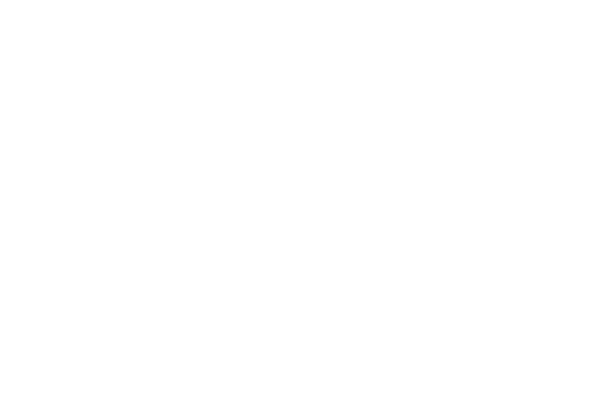 North Town Homes Logo