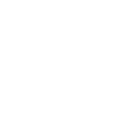 Anxin Projects Logo