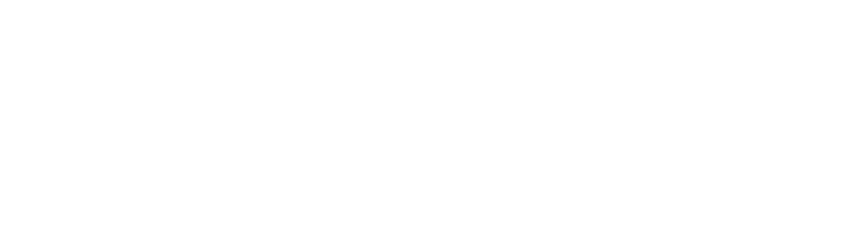 Losani Homes Logo