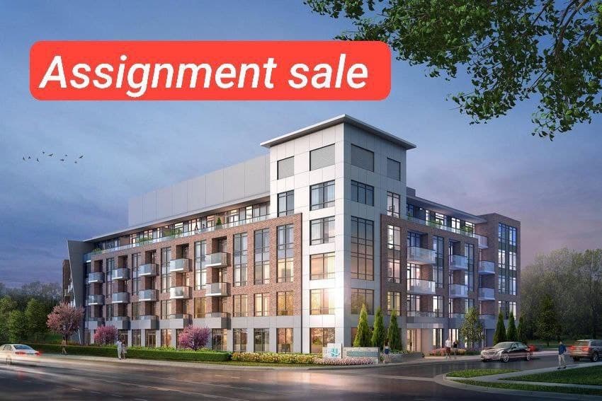 The Dolce Vita - Main Image