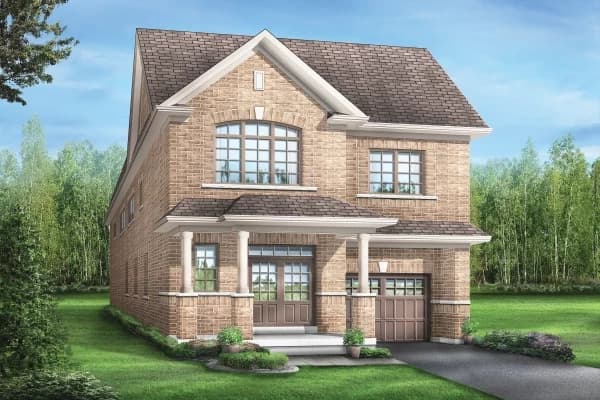 Palmetto - Main Image